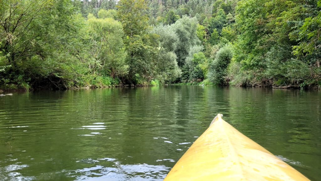 Auf dem Neckar bei Sulz