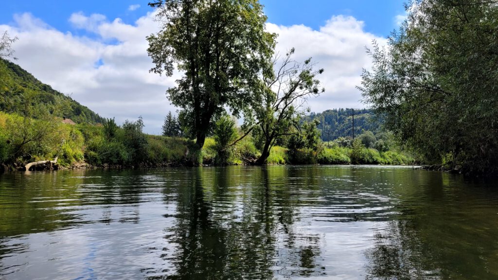 Neckar zwischen Sulz und Horb