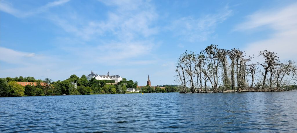 Kormoraninsel - Plöner See