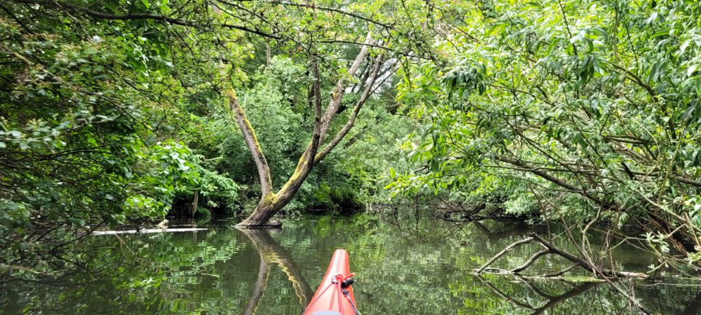 Schwentine zwischen Eutiner See und Kellersee