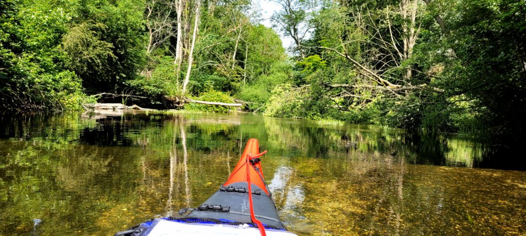 Schwentine nahe beim Lanker See