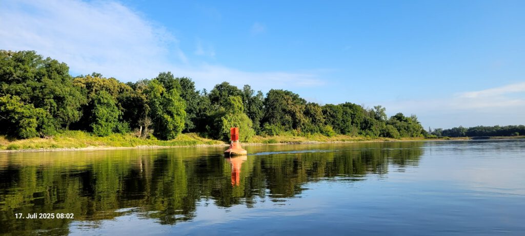 Elbe hinter Dessau