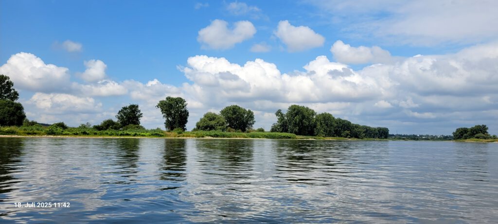 Elbe vor Magdeburg