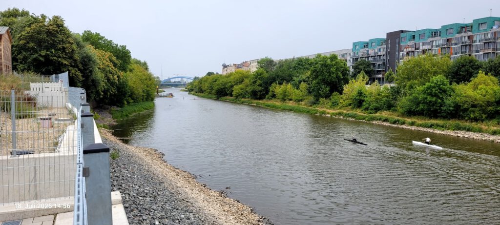 Regattakanuten auf der Zollelbe Magdeburg