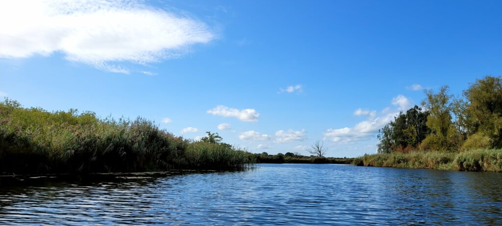 Recknitz bei Damgarten