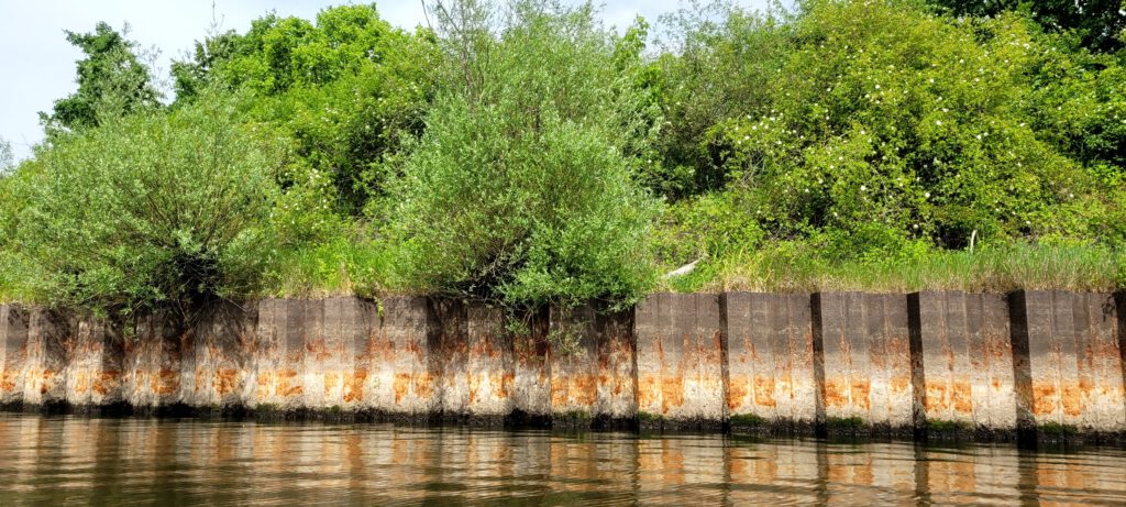 rostige Spundwände bei Eisenhüttenstadt