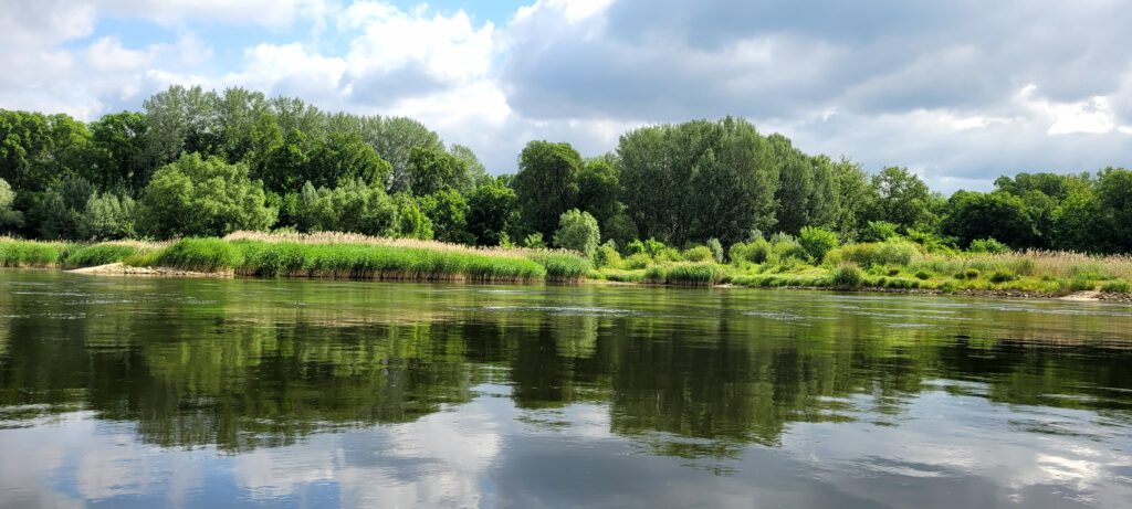 Oderufer hinter Aurith