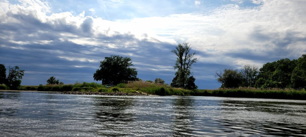 Uferlandschaft an der Oder