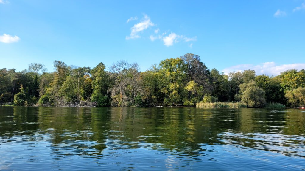 Uferbewaldung am Tegeler See